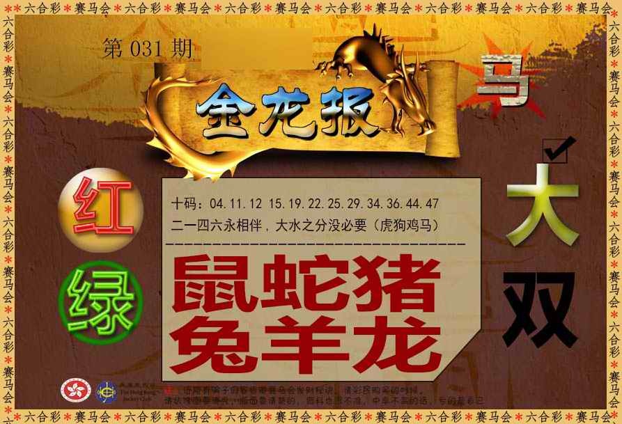 031期金龙报[图]