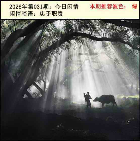 031期今日闲情2[图]